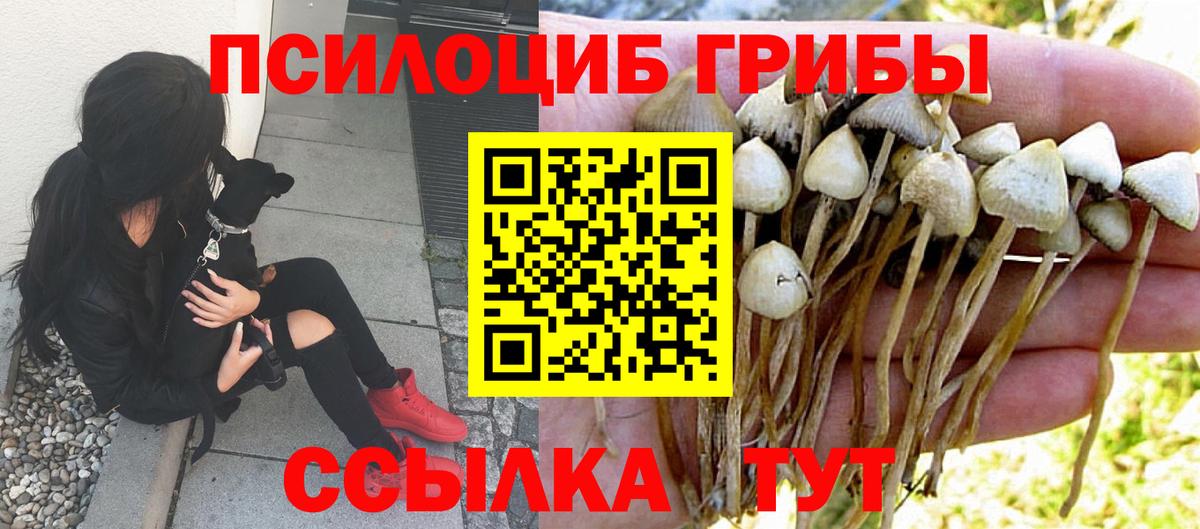 Егорьевск  Галлюциногенные грибы мицелий  Вход с VPN 
