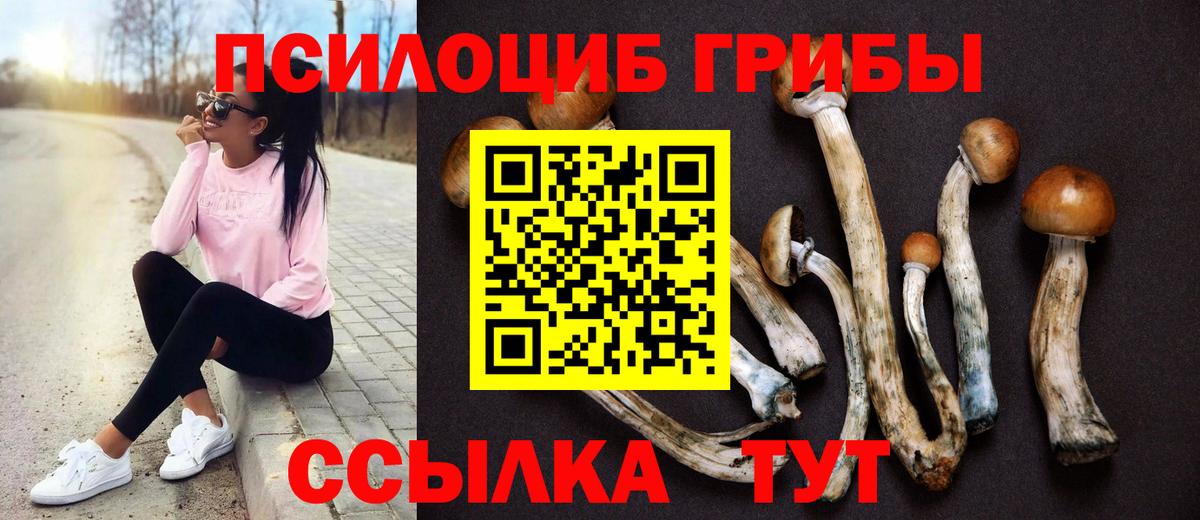 Псилоцибиновые грибы GOLDEN TEACHER Егорьевск